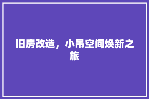 旧房改造，小吊空间焕新之旅 墙体维修