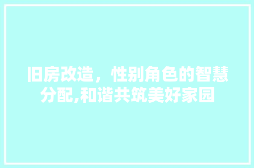 旧房改造，性别角色的智慧分配,和谐共筑美好家园 厨房维修