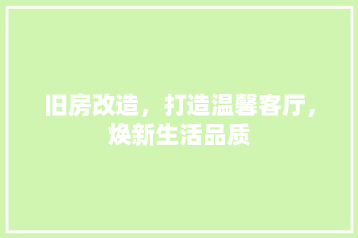旧房改造，打造温馨客厅，焕新生活品质 厨房维修