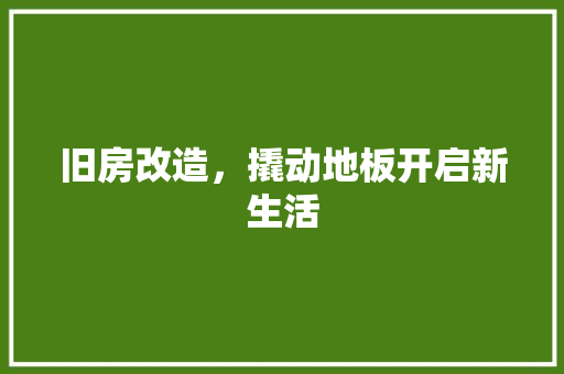 旧房改造，撬动地板开启新生活 汽车维修