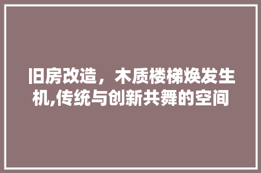 旧房改造，木质楼梯焕发生机,传统与创新共舞的空间艺术 综合便民