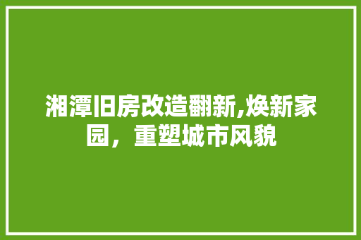 湘潭旧房改造翻新,焕新家园，重塑城市风貌 家电维修