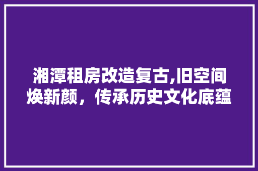 湘潭租房改造复古,旧空间焕新颜，传承历史文化底蕴