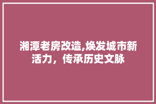 湘潭老房改造,焕发城市新活力，传承历史文脉 厨房维修