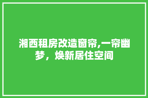 湘西租房改造窗帘,一帘幽梦，焕新居住空间 综合便民
