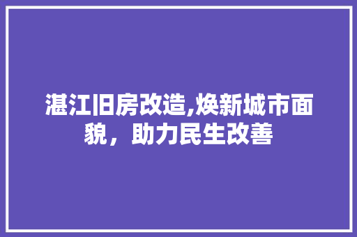 湛江旧房改造,焕新城市面貌，助力民生改善