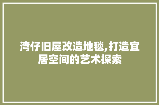 湾仔旧屋改造地毯,打造宜居空间的艺术探索