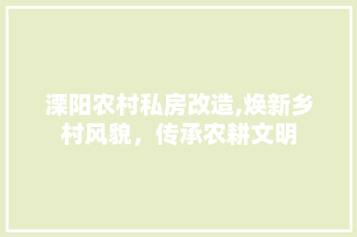 溧阳农村私房改造,焕新乡村风貌，传承农耕文明 墙体维修