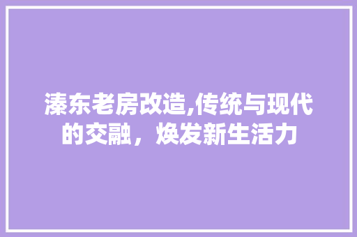 溱东老房改造,传统与现代的交融，焕发新生活力