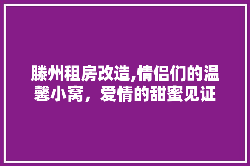 滕州租房改造,情侣们的温馨小窝，爱情的甜蜜见证 厨房维修