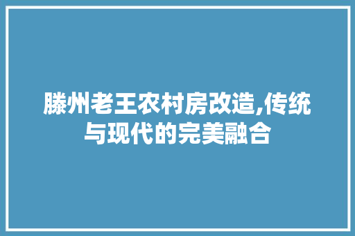 滕州老王农村房改造,传统与现代的完美融合 墙体维修