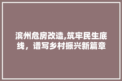 滨州危房改造,筑牢民生底线，谱写乡村振兴新篇章