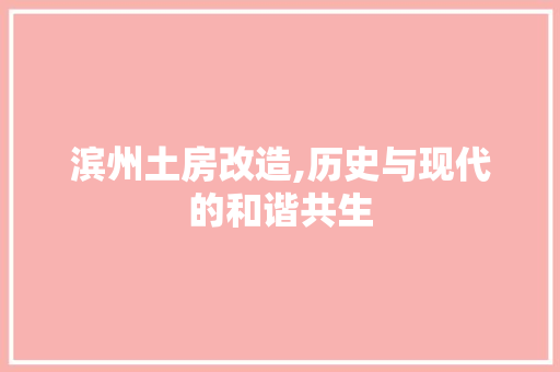 滨州土房改造,历史与现代的和谐共生 综合便民