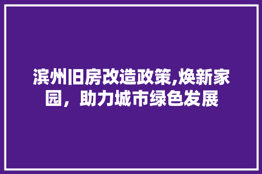 滨州旧房改造政策,焕新家园，助力城市绿色发展 厨房维修