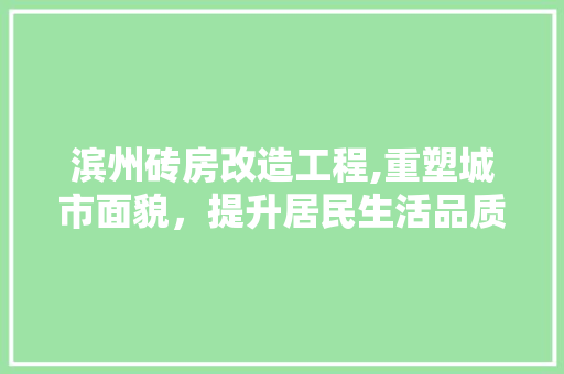 滨州砖房改造工程,重塑城市面貌，提升居民生活品质