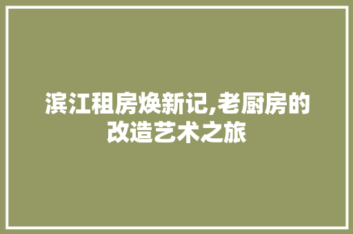 滨江租房焕新记,老厨房的改造艺术之旅