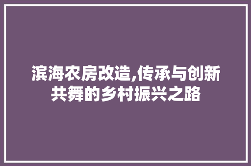滨海农房改造,传承与创新共舞的乡村振兴之路 汽车维修