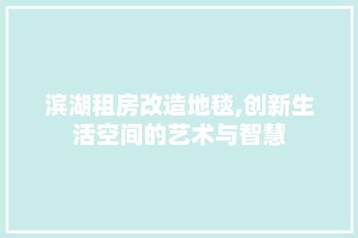 滨湖租房改造地毯,创新生活空间的艺术与智慧 综合便民