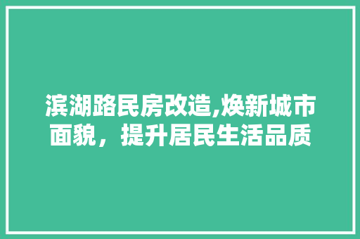 滨湖路民房改造,焕新城市面貌，提升居民生活品质 汽车维修