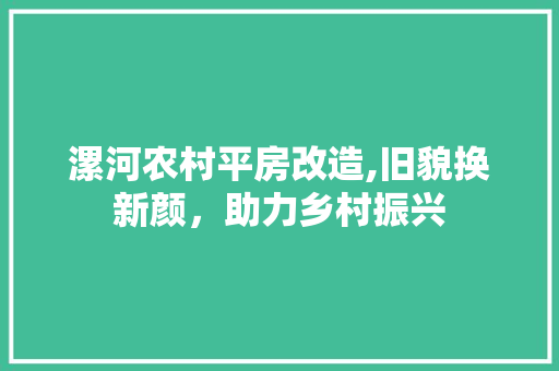 漯河农村平房改造,旧貌换新颜，助力乡村振兴