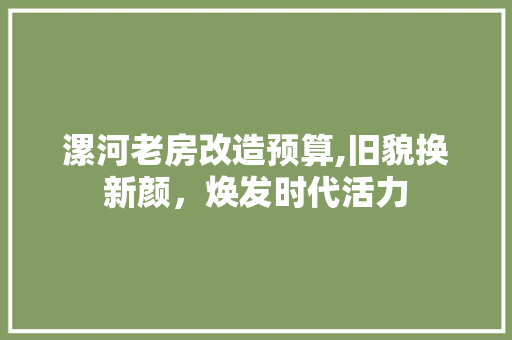 漯河老房改造预算,旧貌换新颜，焕发时代活力 汽车维修