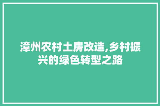 漳州农村土房改造,乡村振兴的绿色转型之路 家电维修