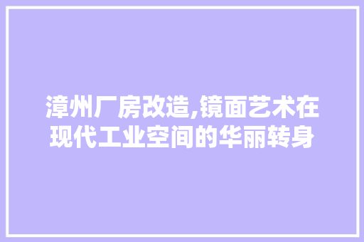 漳州厂房改造,镜面艺术在现代工业空间的华丽转身 家电维修
