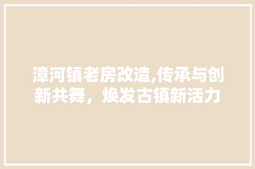 漳河镇老房改造,传承与创新共舞，焕发古镇新活力 家电维修