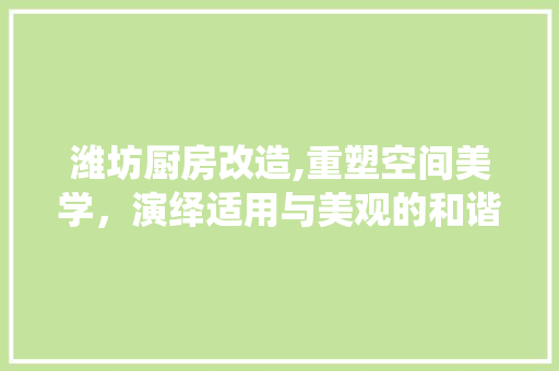 潍坊厨房改造,重塑空间美学，演绎适用与美观的和谐交响 家电维修