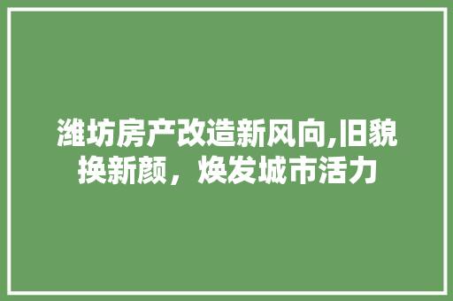 潍坊房产改造新风向,旧貌换新颜，焕发城市活力 汽车维修