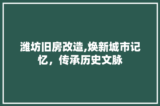 潍坊旧房改造,焕新城市记忆，传承历史文脉 厨房维修