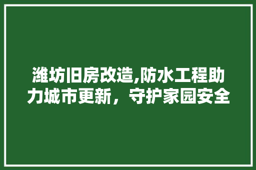 潍坊旧房改造,防水工程助力城市更新，守护家园安全 厨房维修