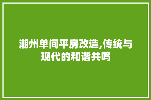 潮州单间平房改造,传统与现代的和谐共鸣 家电维修