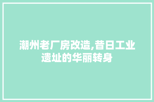 潮州老厂房改造,昔日工业遗址的华丽转身