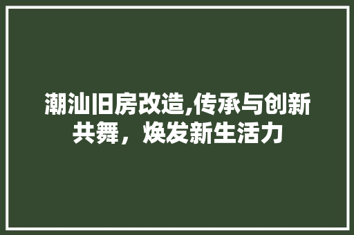 潮汕旧房改造,传承与创新共舞，焕发新生活力 墙体维修