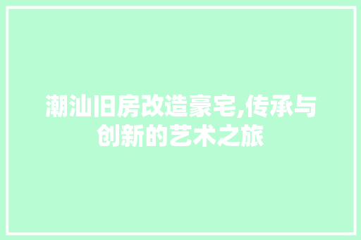 潮汕旧房改造豪宅,传承与创新的艺术之旅 厨房维修