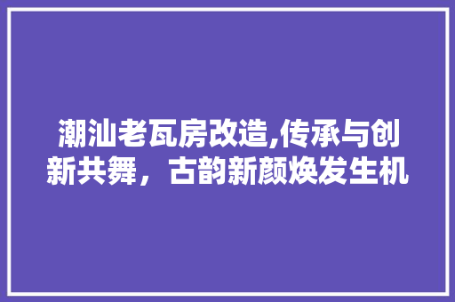 潮汕老瓦房改造,传承与创新共舞，古韵新颜焕发生机