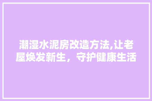 潮湿水泥房改造方法,让老屋焕发新生，守护健康生活