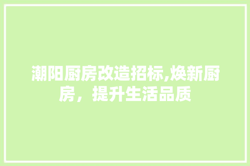 潮阳厨房改造招标,焕新厨房，提升生活品质