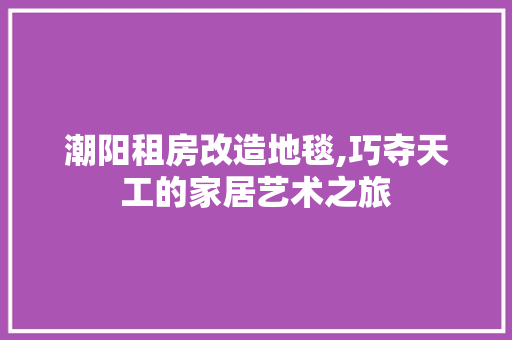 潮阳租房改造地毯,巧夺天工的家居艺术之旅