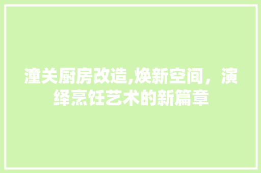 潼关厨房改造,焕新空间，演绎烹饪艺术的新篇章 厨房维修