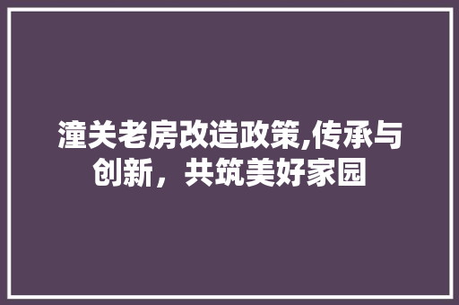 潼关老房改造政策,传承与创新，共筑美好家园 厨房维修