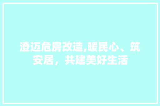 澄迈危房改造,暖民心、筑安居，共建美好生活 家电维修