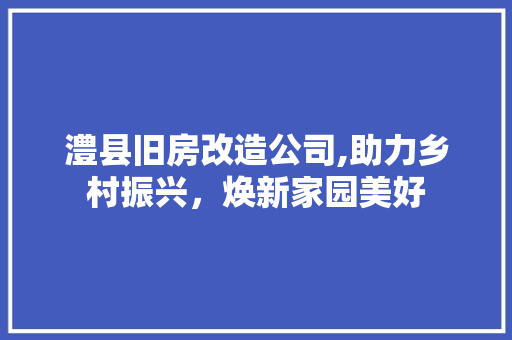 澧县旧房改造公司,助力乡村振兴，焕新家园美好 厨房维修