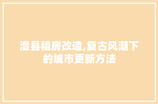 澧县租房改造,复古风潮下的城市更新方法 厨房维修
