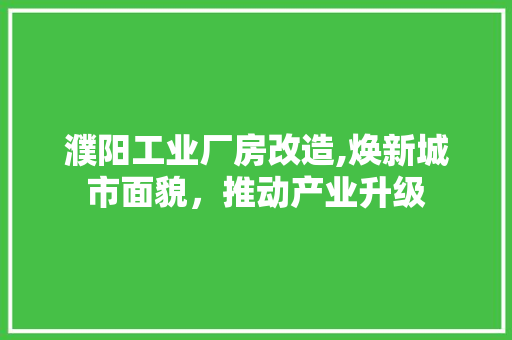 濮阳工业厂房改造,焕新城市面貌，推动产业升级 综合便民