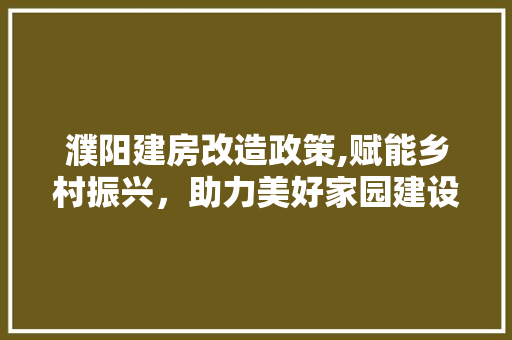 濮阳建房改造政策,赋能乡村振兴，助力美好家园建设 汽车维修