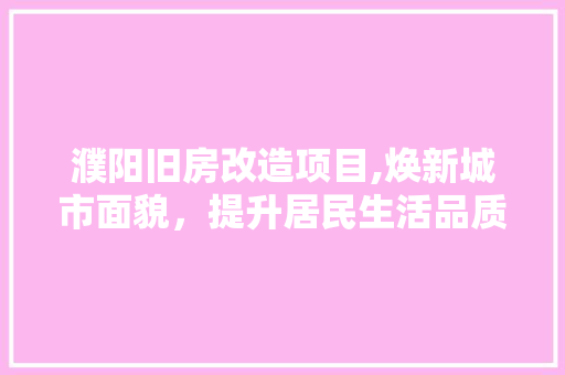 濮阳旧房改造项目,焕新城市面貌，提升居民生活品质 家电维修