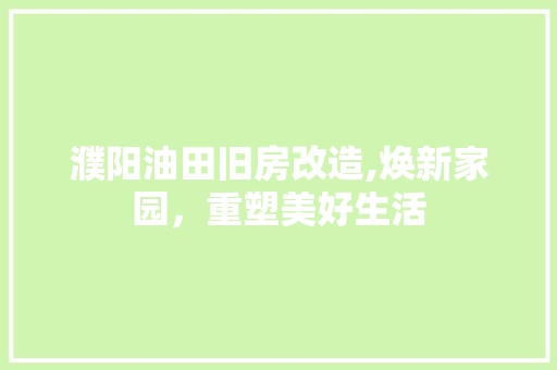 濮阳油田旧房改造,焕新家园，重塑美好生活 墙体维修