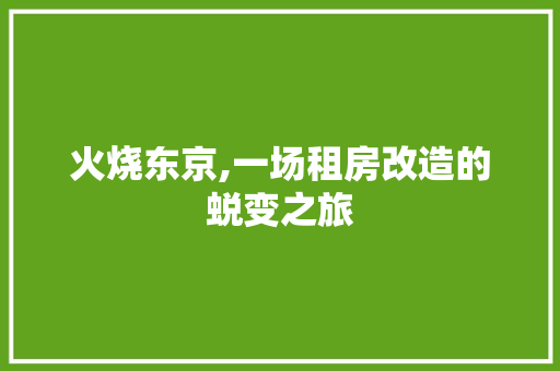 火烧东京,一场租房改造的蜕变之旅 综合便民